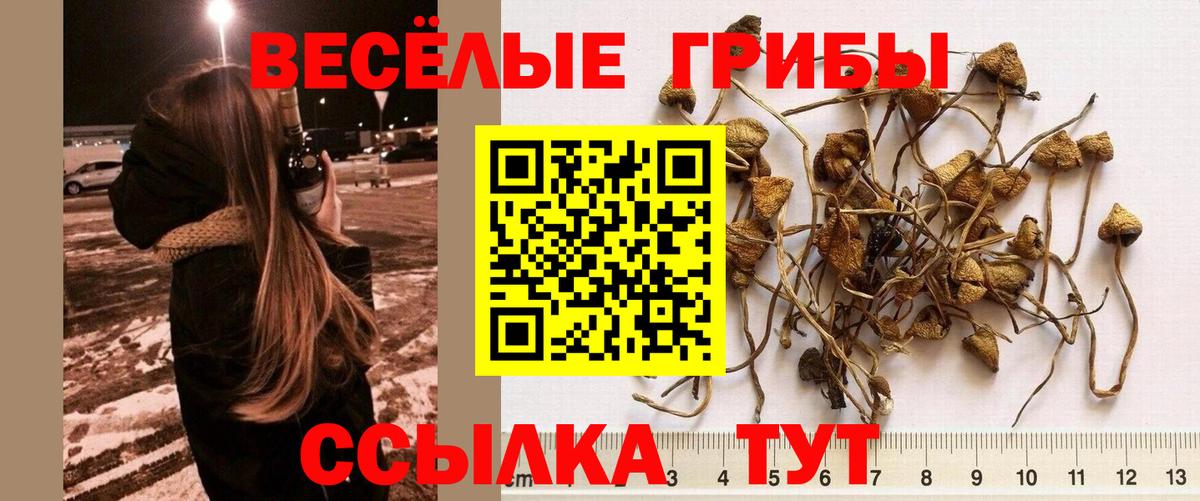 Псилоцибиновые грибы ЛСД Берёзовский