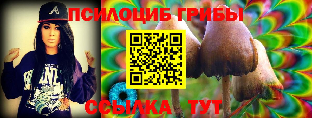 Псилоцибиновые грибы Psilocybine cubensis Берёзовский